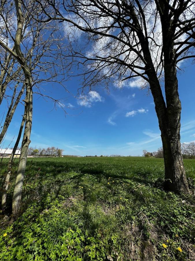 Kroghojgard Middelfart Εξωτερικό φωτογραφία